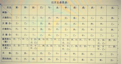 八字神煞速查表|八字排盘